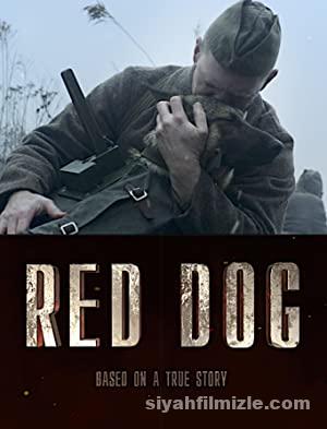 Red Dog 2017 Filmi Türkçe Dublaj Altyazılı Full izle