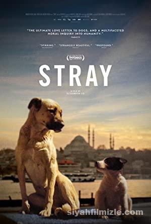 Stray 2020 Filmi Türkçe Dublaj Altyazılı Full izle