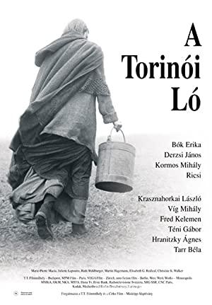 Torino Atı (2011) Filmi Full izle
