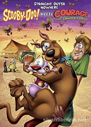 Scooby-Doo!: Korkak Köpek Cesaretle Buluşuyor 2021 izle