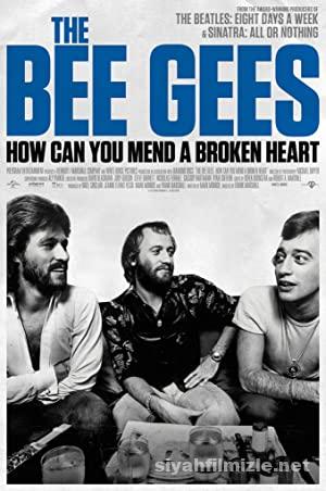 The Bee Gees (2020) Türkçe Dublaj Filmi Full izle