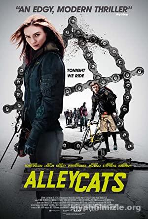 Sokak Kedileri (Alleycats) 2016 Türkçe Dublaj 1080p izle