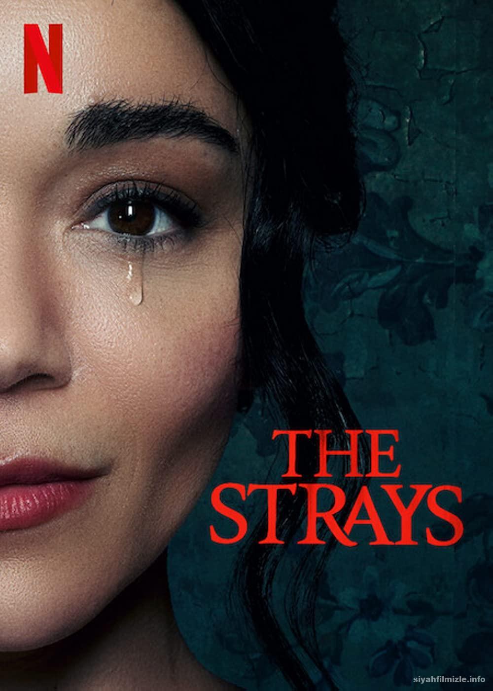 Başıboş (The Strays) 2023 Filmi Türkçe Dublaj Full izle