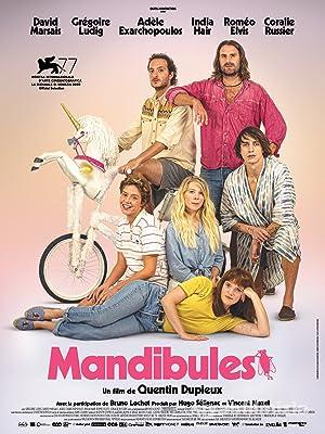 Mandibules 2020 Filmi Türkçe Dublaj Altyazılı Full izle