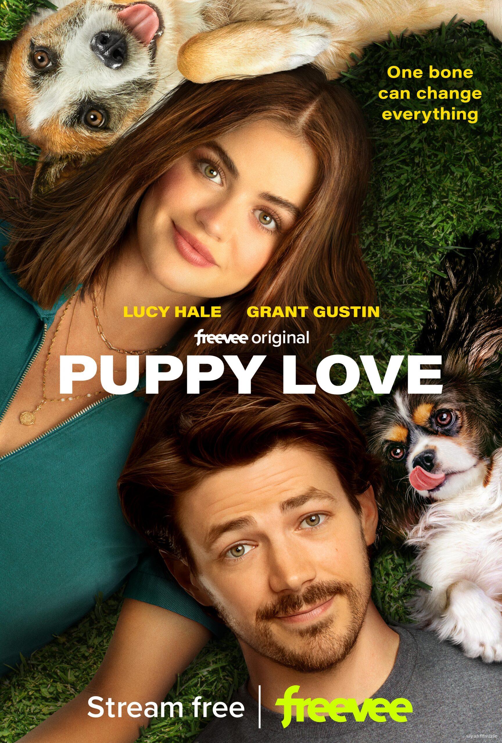 Puppy Love 2023 Filmi Türkçe Dublaj Altyazılı Full izle