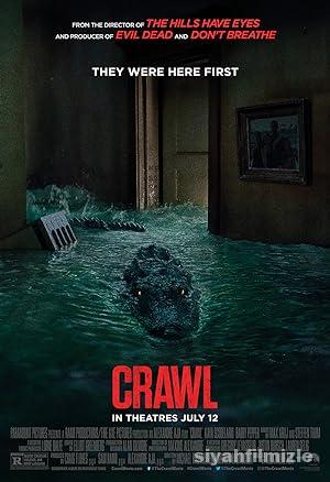 Ölümcül Sular (Crawl) 2019 Filmi Türkçe Dublaj Full izle