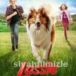 Lassie Eve Dönüş 2020 Filmi Türkçe Dublaj Altyazılı izle