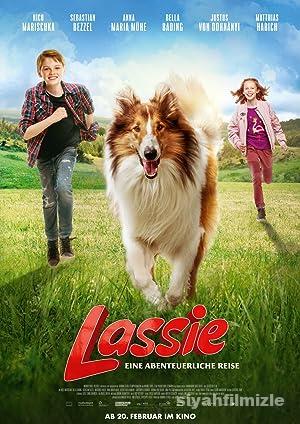 Lassie Eve Dönüş 2020 Filmi Türkçe Dublaj Altyazılı izle