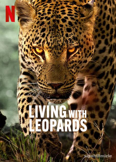 Leoparlarla Yaşam 2024 Filmi Türkçe Dublaj Altyazılı izle